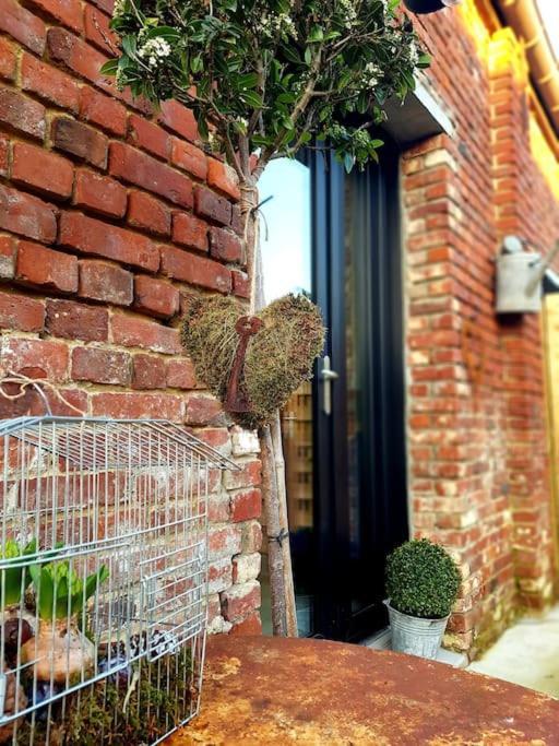 Le Bon Temps, Pour Une Douce Parenthese Saint-Martin-Lez-Tatinghem Exterior foto